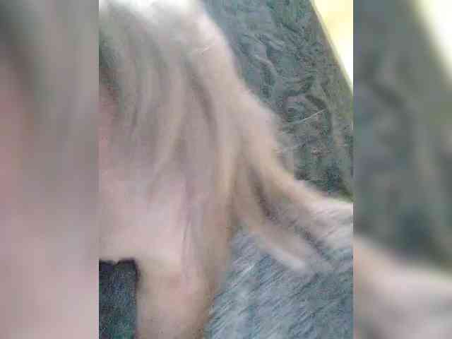 Margo6 webcam