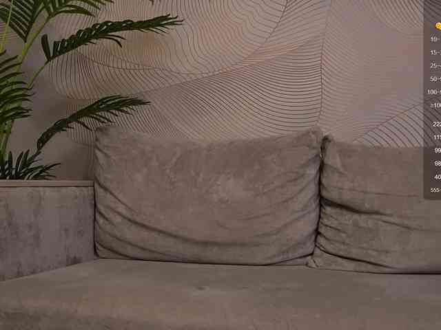 Sofa01 webcam
