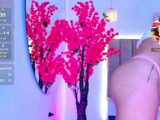 LizSheibaum webcam