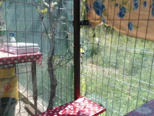 LadyHellene webcam
