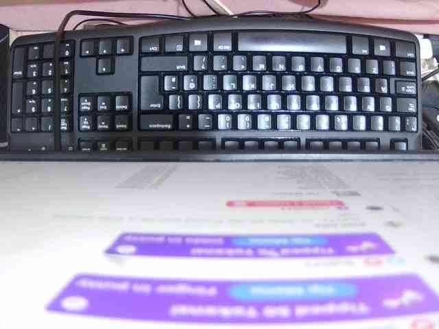 just-lela webcam