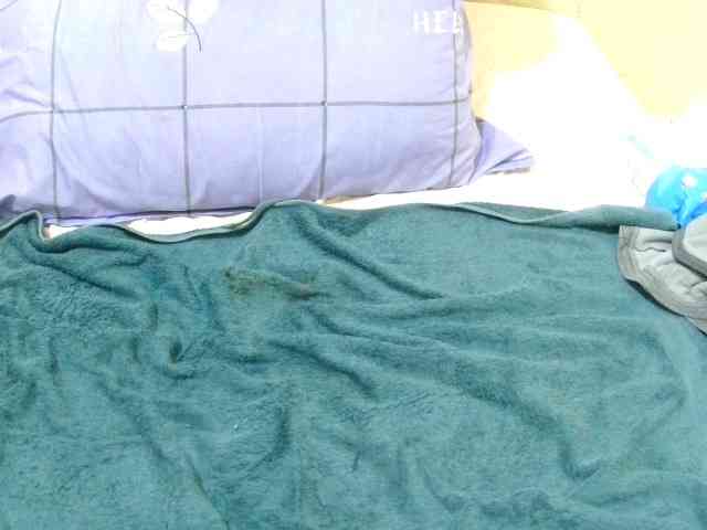 just-lela webcam