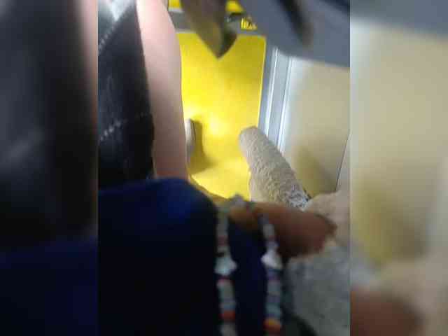 AlexaBrown12 AlexaBrown12