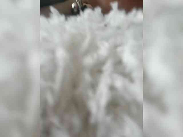 AlexaBrown12 AlexaBrown12