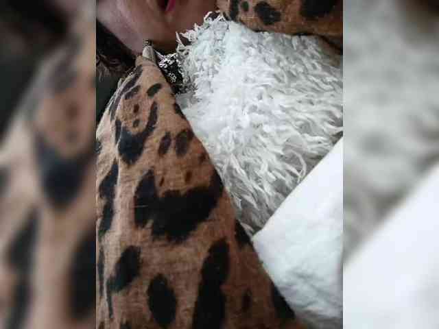 AlexaBrown12 AlexaBrown12