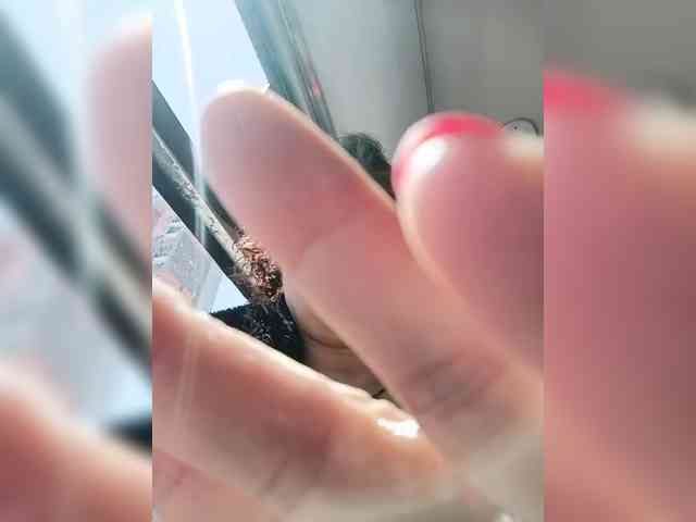 AlexaBrown12 AlexaBrown12