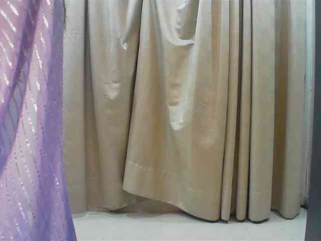 Payal-1-1 webcam