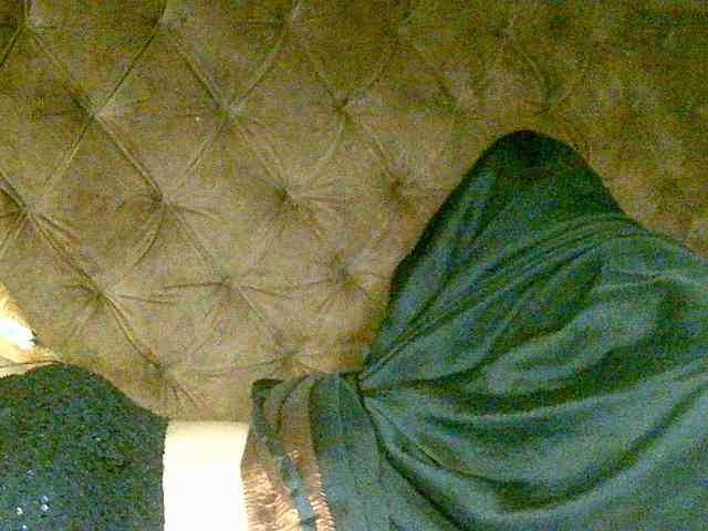 Payal-1-1 webcam