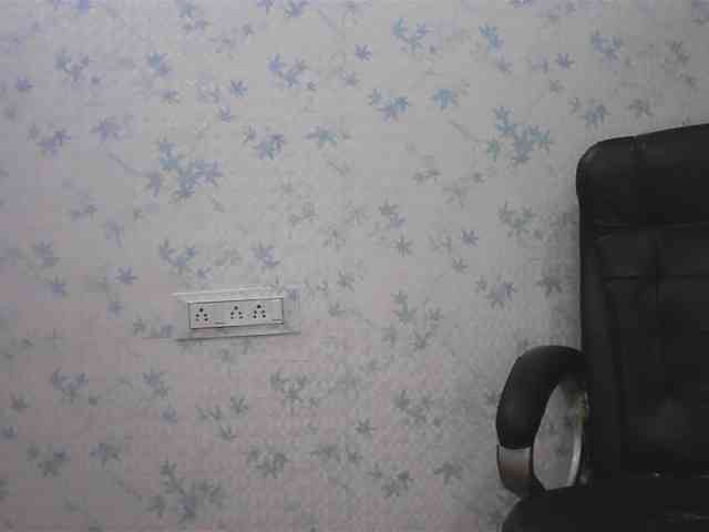 Payal-1-1 webcam