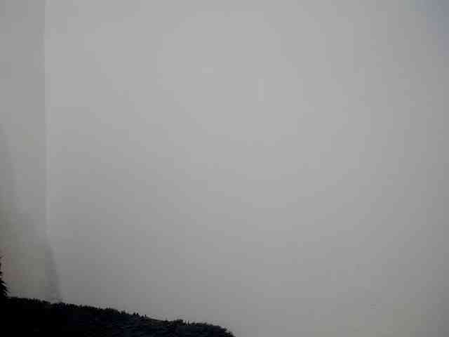 anniejhonsson webcam
