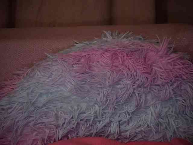 LexyTexas webcam