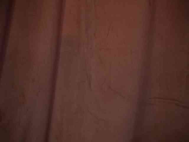 LexyTexas webcam