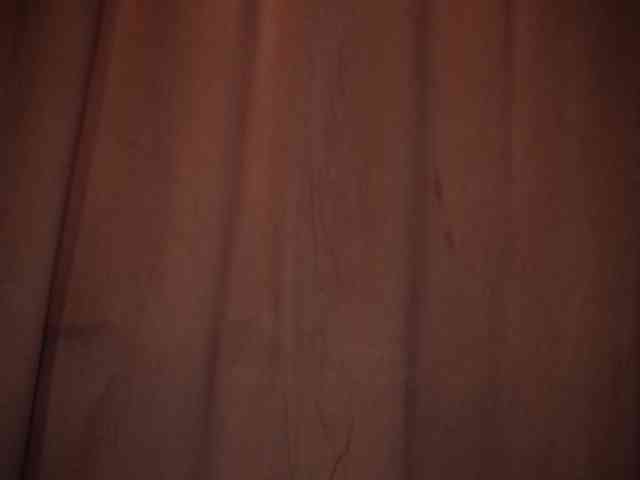 LexyTexas webcam