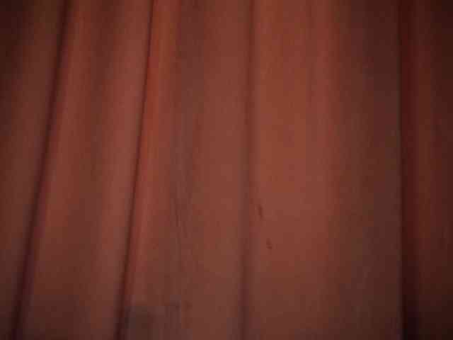 LexyTexas webcam