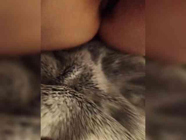 natmyasubgardex webcam