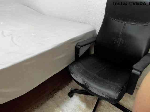 Pareveda webcam