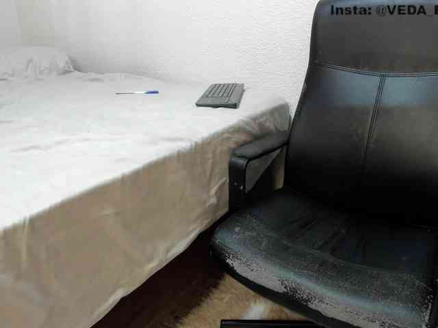 Pareveda webcam