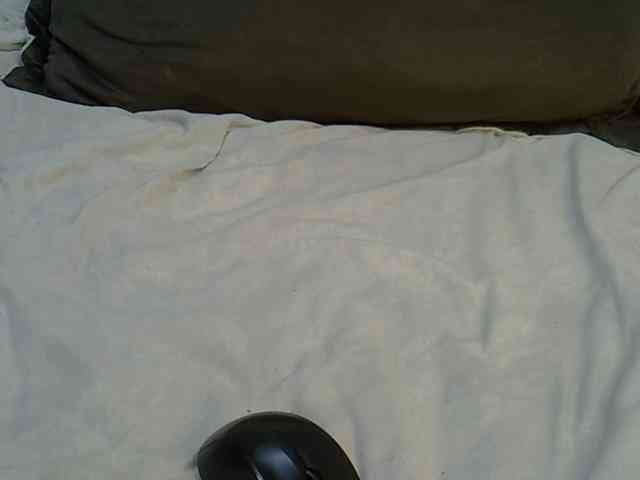 jeyhoward webcam