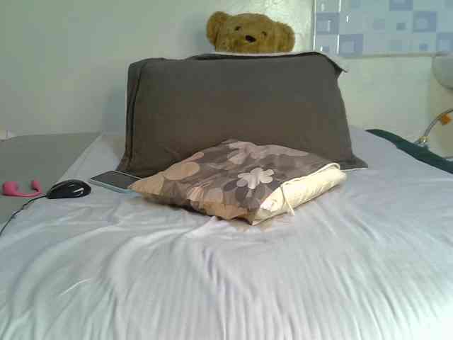 jeyhoward webcam