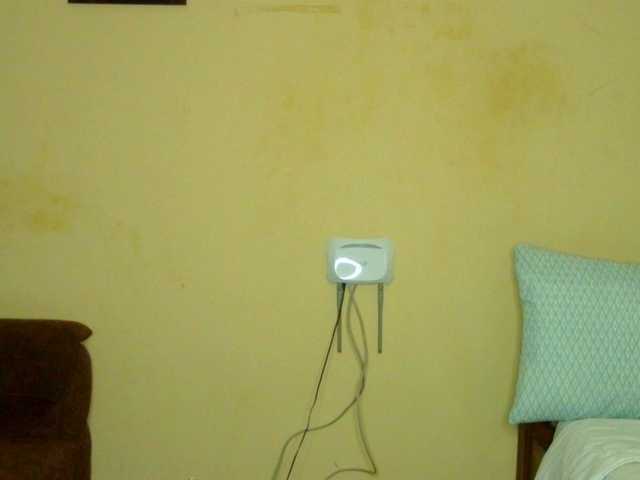 Gladwell's BongaCams show and profile