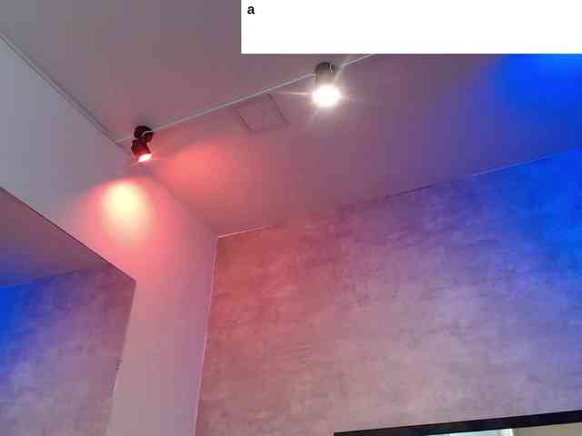 dahiana webcam