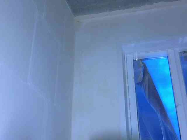 FrankieFoxie webcam