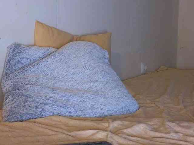 FrankieFoxie webcam