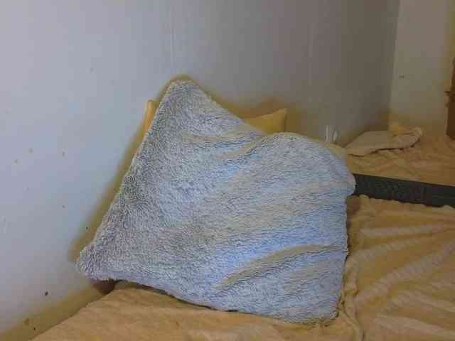 FrankieFoxie webcam