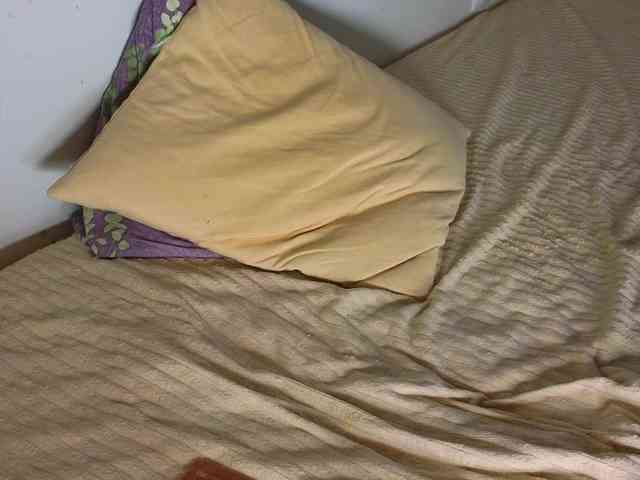 FrankieFoxie webcam