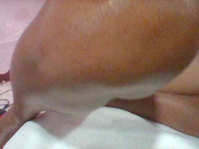 Stellahsexylove webcam