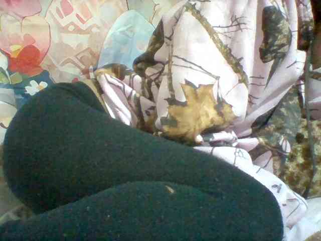 Stellahsexylove