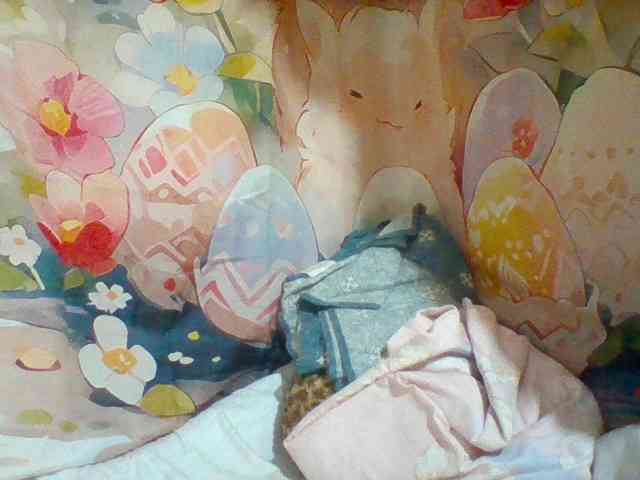 Stellahsexylove webcam