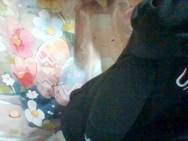Stellahsexylove webcam