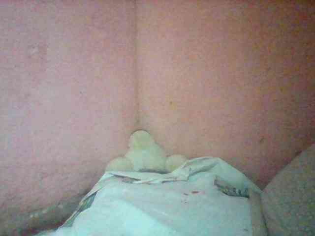 Stellahsexylove webcam