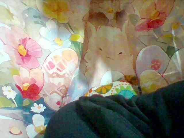 Stellahsexylove webcam