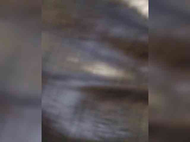 Tata42 webcam