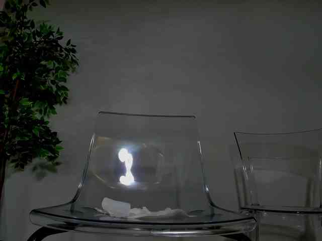 Foxx-girl webcam