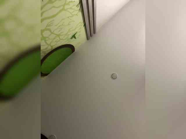 OlivkaVif webcam