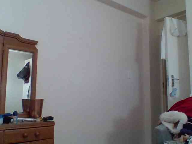 pussylips53 webcam