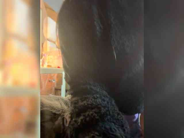 miasecretoficial webcam