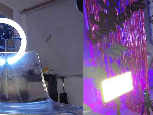 miasecretoficial webcam