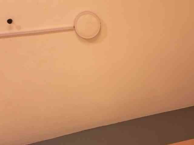 miasecretoficial webcam