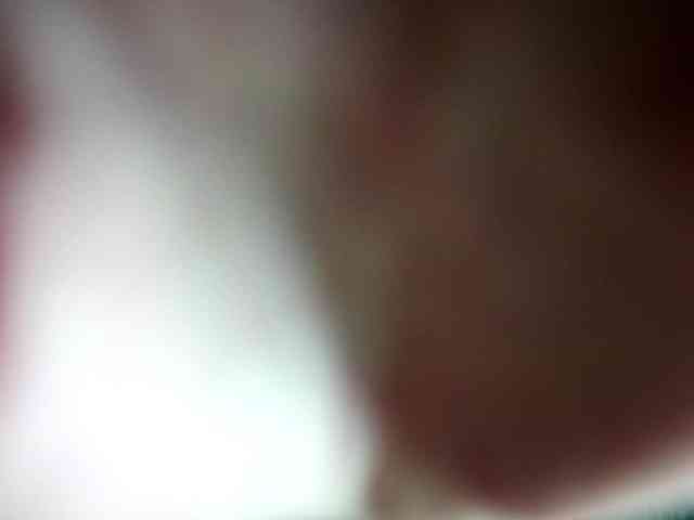 LunaEvan webcam