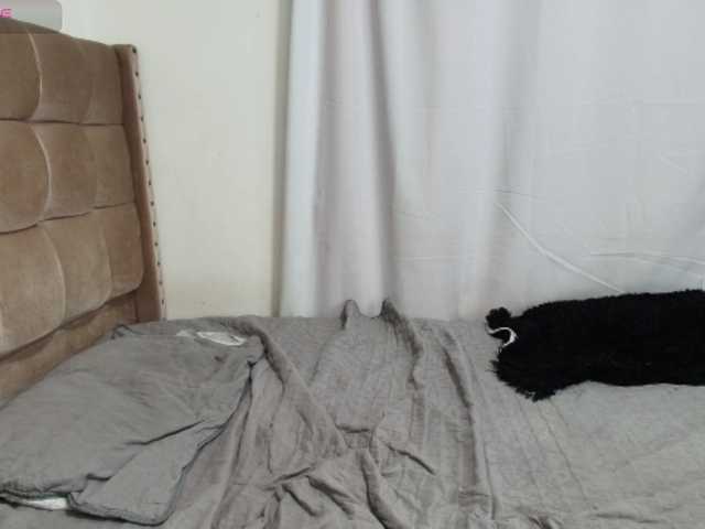 Zafiro77's BongaCams show and profile