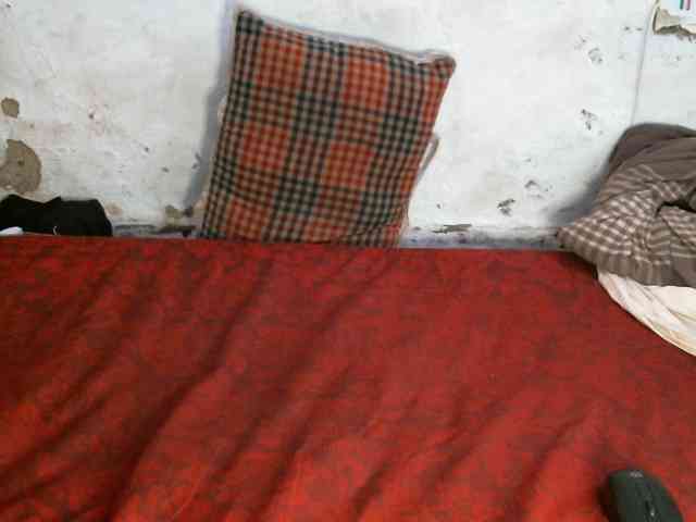 Vivvy-Queen webcam