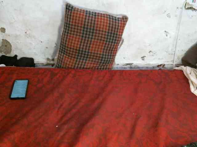 Vivvy-Queen webcam