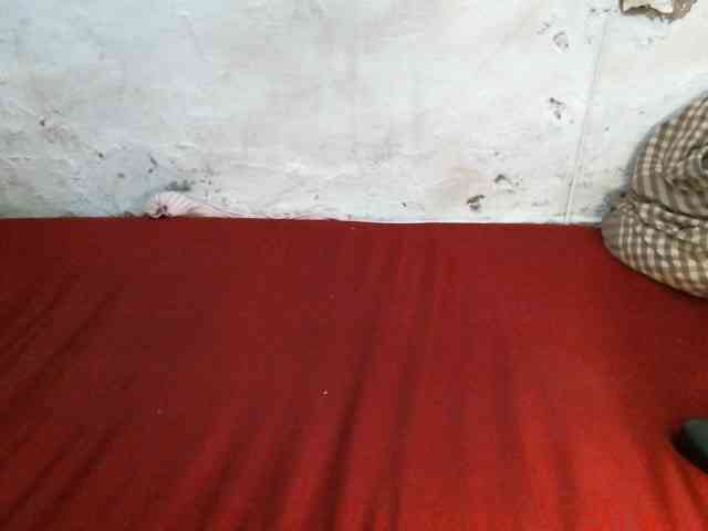 Vivvy-Queen webcam