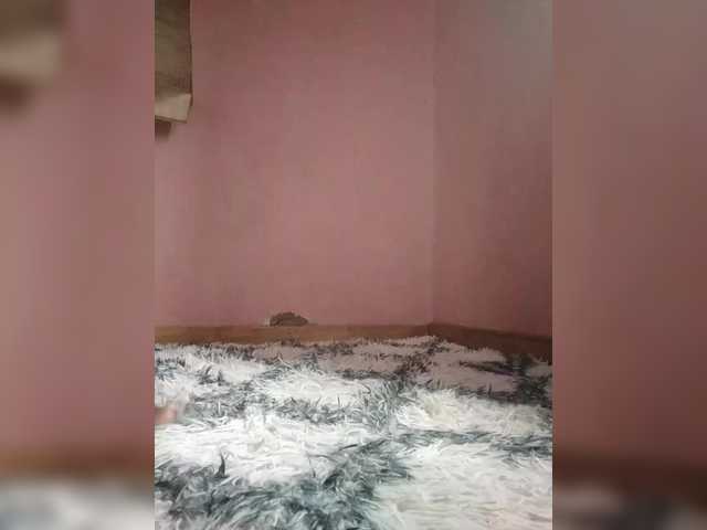 Preview of irfanahrak