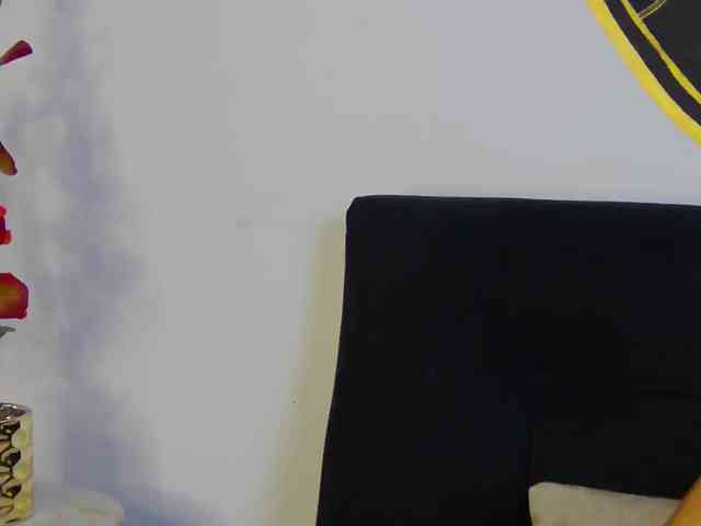 kinkyzoeandema webcam