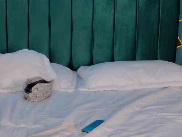 kinkyzoeandema webcam